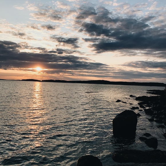 Meet your Posher, Olivia - Picture 3 of 5